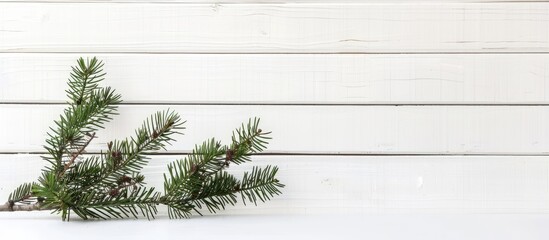 Poster - Minimalist Christmas decoration with pine branch on white wooden backdrop offers ample copy space image