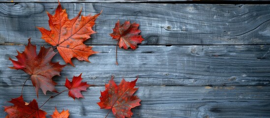 Poster - Maple leaves on a grey wooden background create an autumn sale theme with copy space image