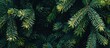 © vxnaghiyev - Festive Christmas fir tree background with ample copy space image showcasing the texture of the branches