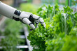 © Sagar - robotic arms tending to an indoor vegetable farm