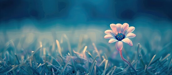 Poster - A small flower on grass with a nostalgic flair against a blue backdrop with focus on the flower and vintage coloring creating a serene copy space image