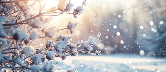 Poster - Winter landscape with snow covered tree branches perfect for a copy space image