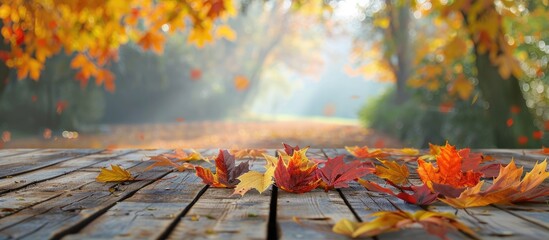 Wall Mural - a rustic themed outdoor mockup featuring autumn maple leaves on a wooden table with a blurred nature