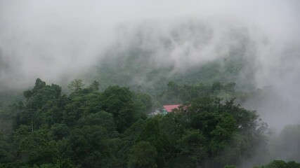 Wall Mural - Rural village in the valley on foggy day