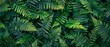 © Starlight - Panoramic close-up, high detail scan of fern leaf texture, Generative AI
