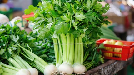 Canvas Print - Market green vegetable fresh organic celery bulb