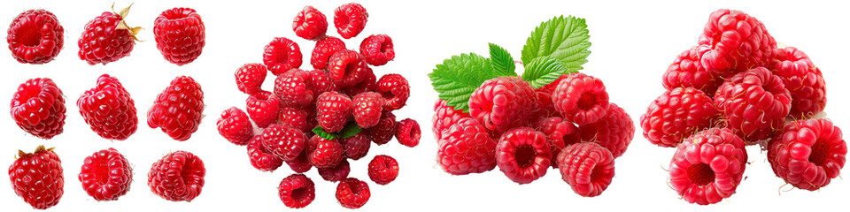 Wall Mural - Four different types of red raspberries are shown in a row