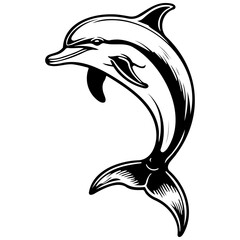 Poster - dolphin monochrome hand drawn line illustration, transparent background