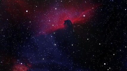 Wall Mural - horse-shaped nebula and stars scattered in the night sky, ultra hd