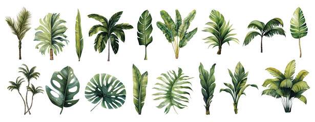 watercolor set with palm trees and leaves floral plants elements