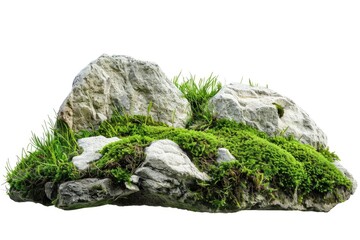 Wall Mural - A rock covered with green moss, perfect for outdoor or nature-themed projects