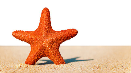 Sticker - Starfish png border, beach sand, transparent background