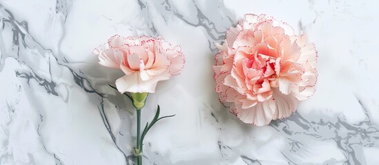 Aufkleber - Top view of a delicate pink carnation on a bright white marble surface representing a Mother s Day floral present with a clear copy space image