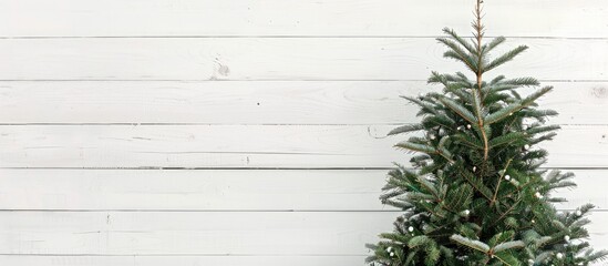 Aufkleber - A Christmas tree displayed on a white wooden backdrop with ample copy space for text or other elements