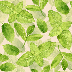 Watercolor seamless pattern with leaves of peppermint. Fresh green illustration hand painted