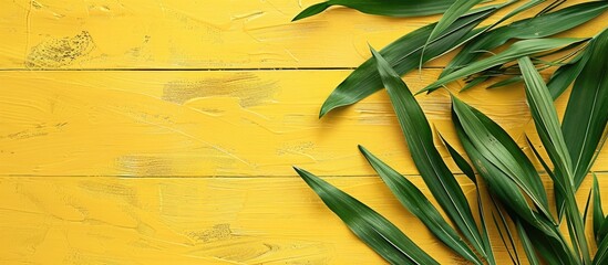 Poster - Top view shot of tropical green grasses on a yellow wood background with copy space image