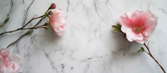 Poster - A fresh pink flower in bloom during spring against a backdrop of white marble with ample copy space for additional text or designs