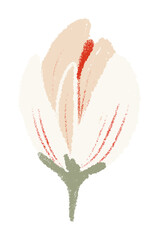 Poster - Magnolia png flower sticker white illustration