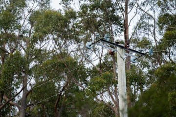 power poles and power lines in the forest being a fire risk