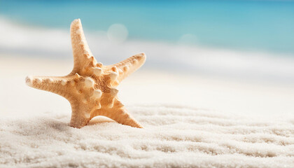 Poster - Close-up of sea star shell on clean sand. Sea or ocean shore. Summer vacation.