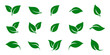 © thebeststocker - Green leaf icons set. Leaves icon on isolated background. Collection green leaf. Elements design for natural, eco, vegan, bio labels. Vector illustration EPS 10