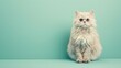 © happysunstock - Fluffy Selkirk Rex Cat on Pastel Vintage Background with Space for Text - Adorable Pet Portrait Idea, Generative Ai
