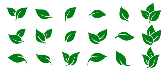 green leaf icons set. leaves icon on isolated background. collection green leaf. elements design for