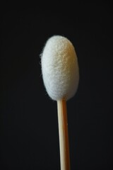 Sticker - A close-up shot of a wool ball attached to a wooden stick, ideal for use in craft or educational contexts