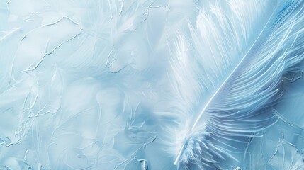 Wall Mural - Soft feather on pale backdrop for design with blue hue and space for text