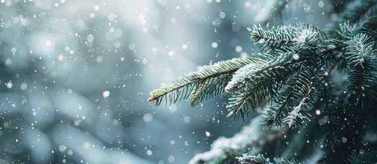 Aufkleber - Snow covered fir branches in a serene winter setting with gently falling snowflakes create a calming winter backdrop with ample copy space image