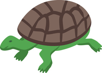 Sticker - Green turtle walking, reptile living in the sea and on the land, wild animal