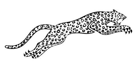 Sticker - Animal leopard in a jump icon on a white background.