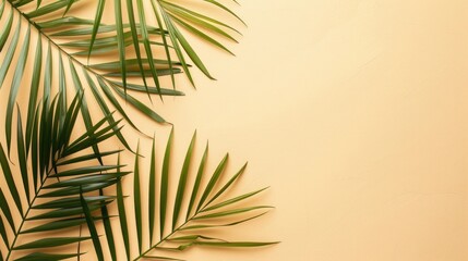 Wall Mural - Palm leaf on pastel beige tropical background flat lay with space for text