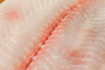 Poster - Organic Raw White Catfish Filet