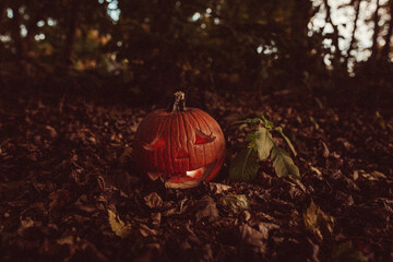 halloween pumpkin in the garden