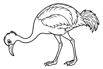 Poster - line art ostrich is eating vector illustration 