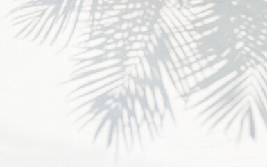 Aufkleber - Grey shadow of natural palm leaf abstract background falling on white wall texture for background and wallpaper. Tropical palm leaves foliage shadow overlay effect, foliage mockup and design