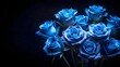 © TingYi - Bunch of Blue Roses in Total Darkness with Pitch Black Background and Big Empty Space for Text. Perfect for: Floral Photography, Minimalist Designs, Text Space
