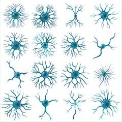 Canvas Print - Collection of Detailed Neuron Illustrations