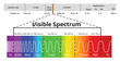 © designer_things - Spectrum wavelength. Visible spectrum color range. Educational physics light line. Light wave frequency. Wavelengths of the visible part of the spectrum for human eyes