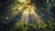 © Janejira - Sunlight streaming through a forest canopy, creating light rays that illuminate the undergrowth and create a magical atmosphere.