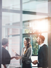 Wall Mural - Business meeting, welcome and people in office with handshake for partnership, greeting or collaboration. Lens flare, diversity and employee with client shaking hands for deal, b2b or agreement