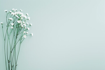 Wall Mural - A cluster of small white flowers on green stems against a light blue background, leaving space for text. Concept of nature, simplicity, and floral beauty.