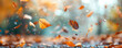 © Jasmina - Autumn colorful background, fall backdrop