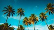 © Amona HD - Clear blue sky with tropical palm trees. Romantic natural scenic landscape. Summer time background or holiday concept. Vibrant tall coconut trees. Summer vacation background