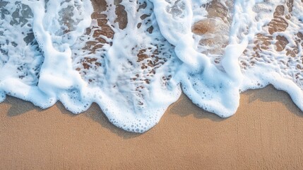 Wall Mural - Gentle sea wave on sandy beach with white foam empty space