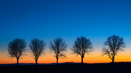 Wall Mural - a row of trees are silhouetted against a blue sky