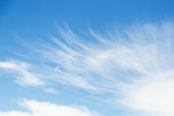 Wall Mural - Cirrocumulus white clouds in the blue sky background, sky only