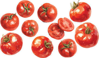 Canvas Print - tomato watercolor clipart