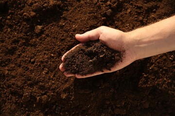 Wall Mural - Man holding pile of soil outdoors, top view. Space for text